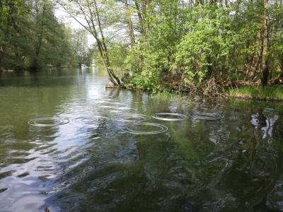 Kunstwerke aquamediale 12